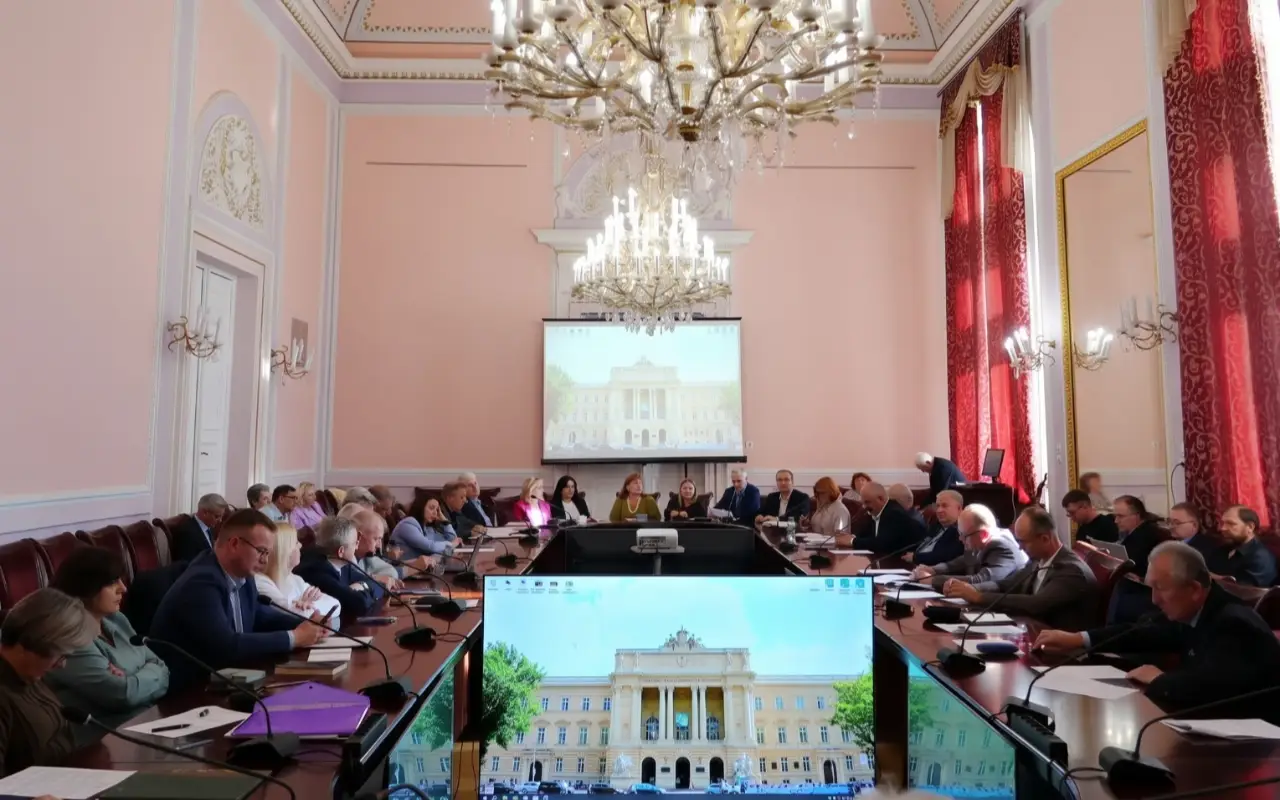How the binding nature of local government decisions relates to the independence of advocates – a&hellip;