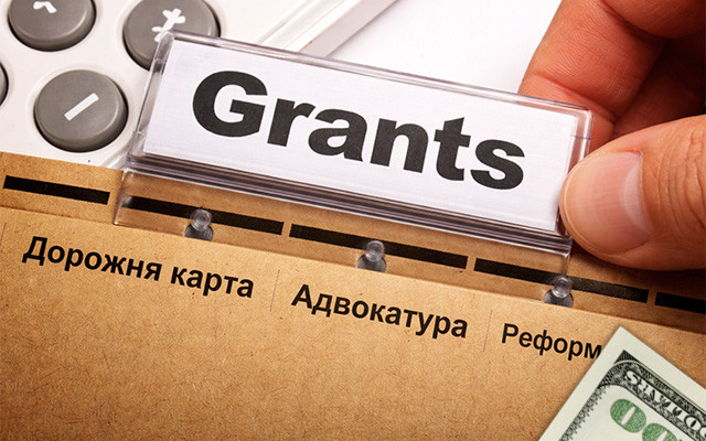 Researchers from the USA explain how shadow reports became a grant service