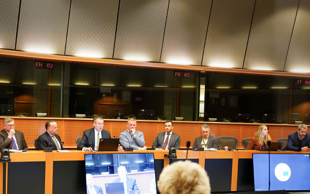 A report on Ukrainian advocacy was presented in the European Parliament